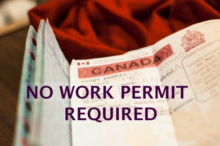 no work permit needed